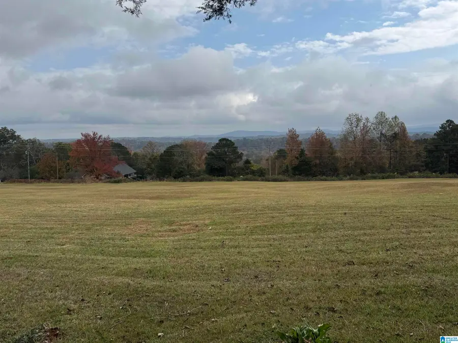 1114 BLACKJACK ROAD, Trussville, AL 35173 - Image #3