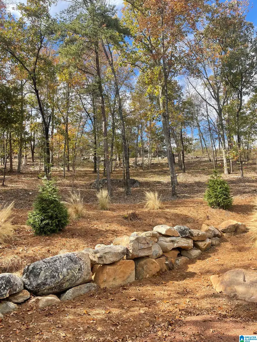 0 LAKEVIEW RIDGE, Vandiver, AL 35176 - Image #2