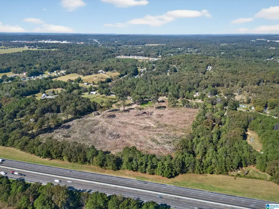 675 COUNTY LINE ROAD W, Eastaboga, AL 36260 - Image #2