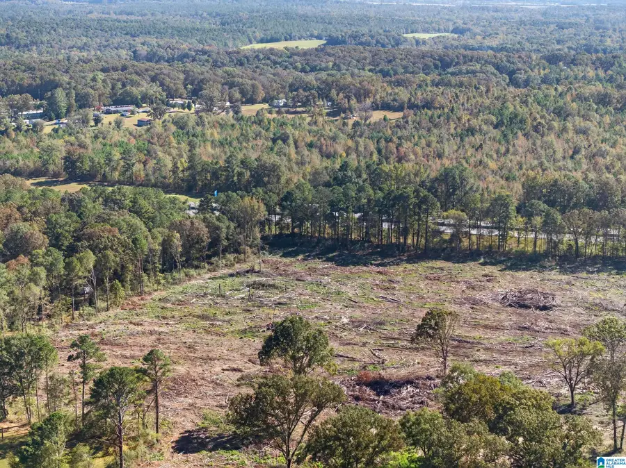 675 COUNTY LINE ROAD W, Eastaboga, AL 36260 - Image #3