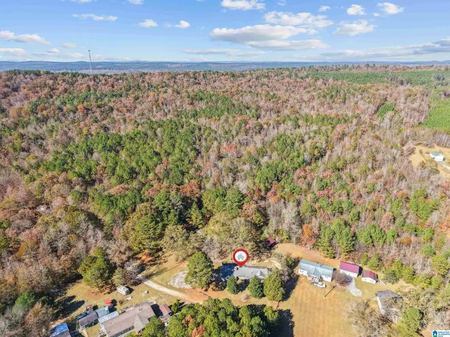 250 HARRIS LANE, Ragland, AL 35131 - Image #2