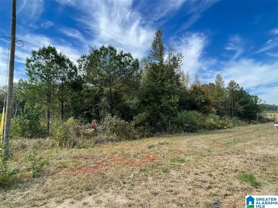 3 HIGHWAY 43, Northport, AL 35475 - Image #2