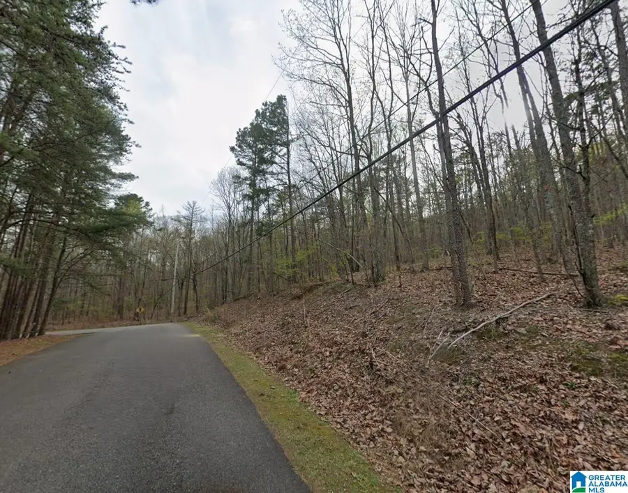 6091 LAKESIDE DRIVE, Pinson, AL 35126 - Image #2