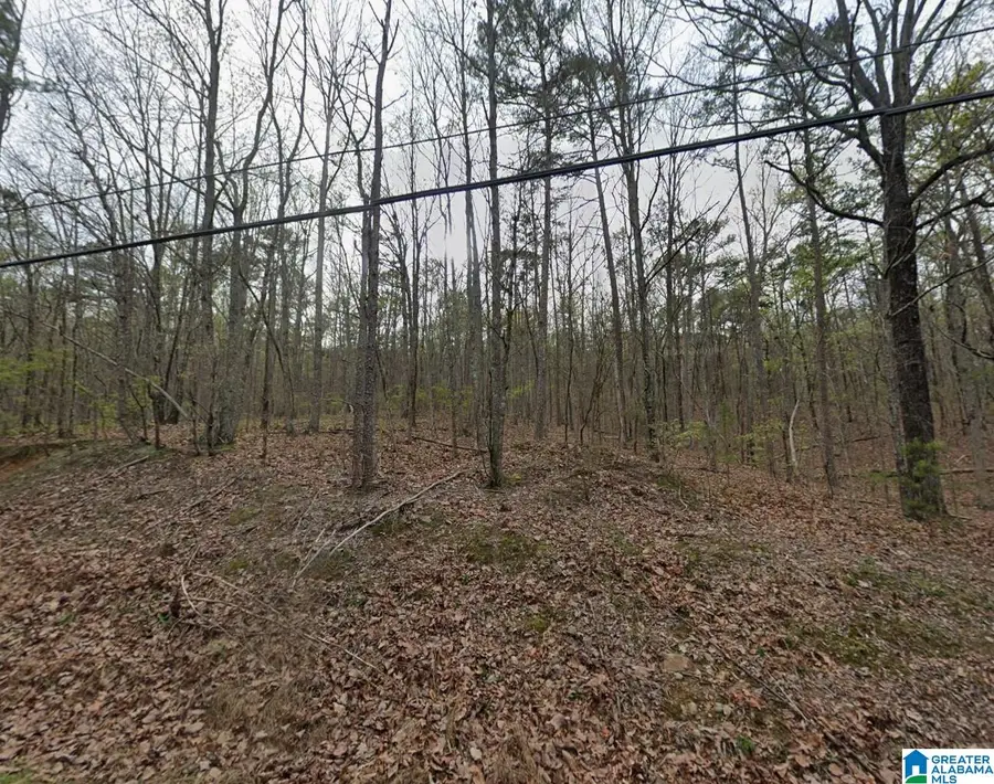 6091 LAKESIDE DRIVE, Pinson, AL 35126 - Image #3