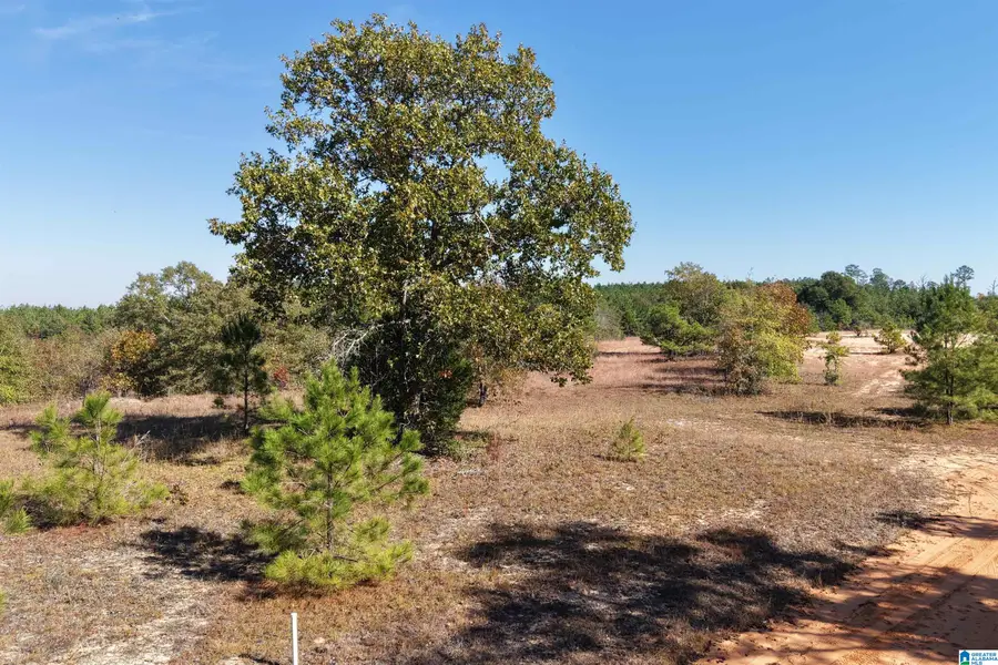 0 COUNTY ROAD 101, Plantersville, AL 36758 - Image #2