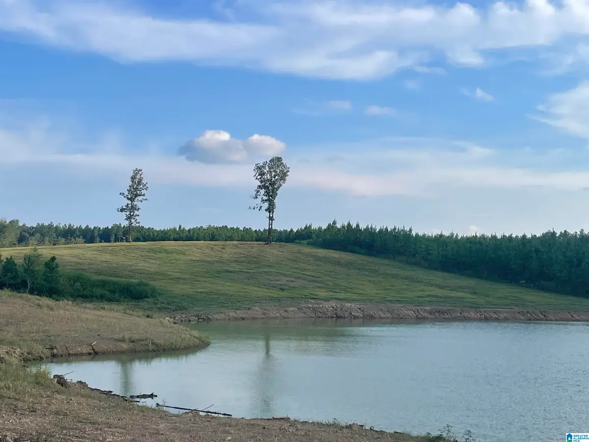 3679 CHELSEA ROAD, Columbiana, AL 35051 - Image #1