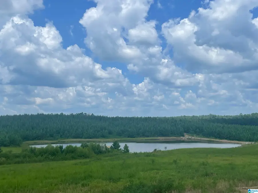 3679 CHELSEA ROAD, Columbiana, AL 35051 - Image #2