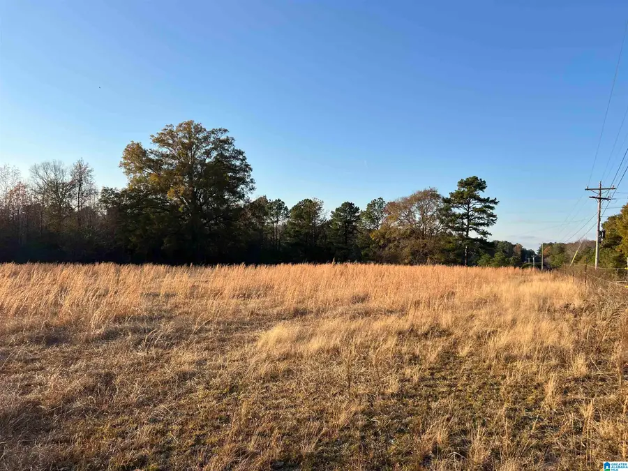 11 Acres RISER MILL ROAD, Alpine, AL 35014 - Image #2
