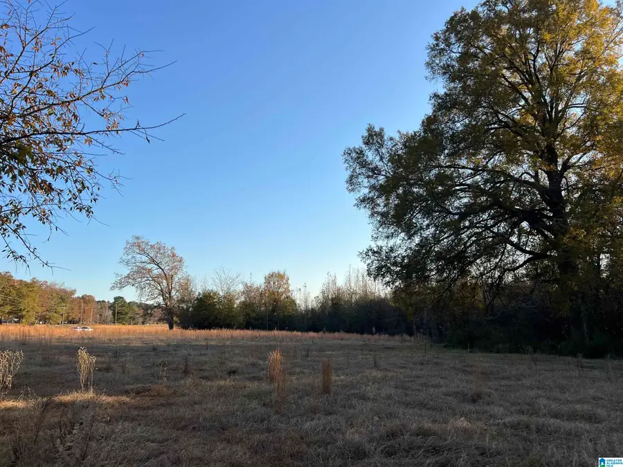 11 Acres RISER MILL ROAD, Alpine, AL 35014 - Image #3