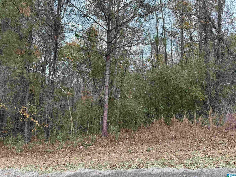 1 SPRING COVE ROAD, Warrior, AL 35180 - #3