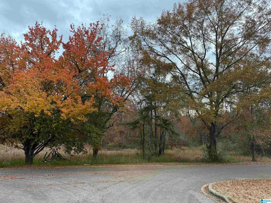 3 SPRING COVE ROAD, Warrior, AL 35180 - #3