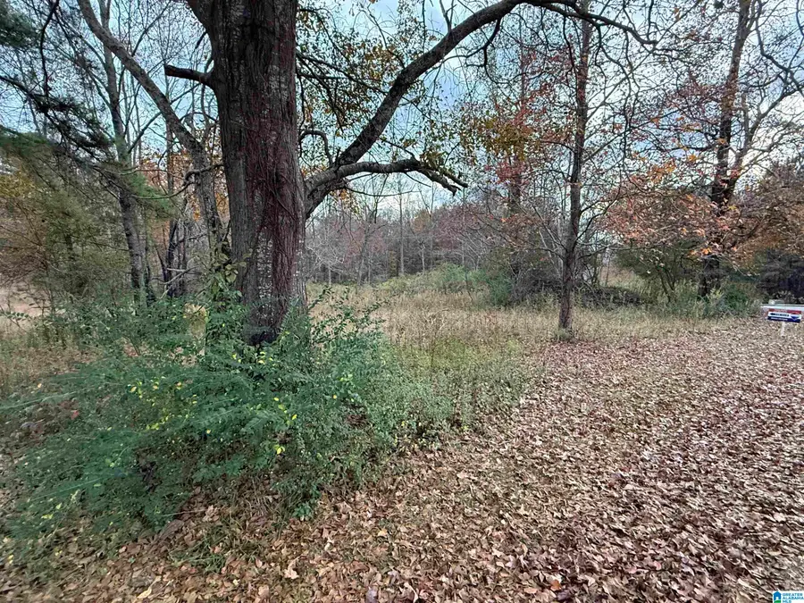 4 SPRING COVE ROAD, Warrior, AL 35180 - #3