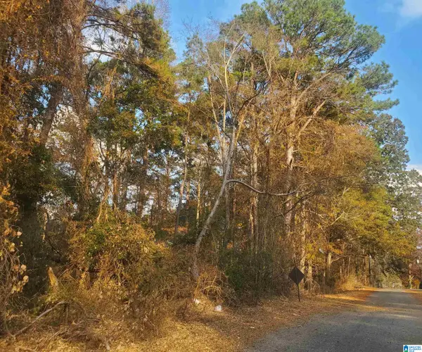 LONGSHORE STREET, Roanoke, AL 36274