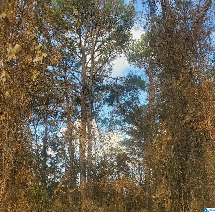 LONGSHORE STREET, Roanoke, AL 36274 - Image #3