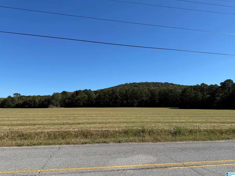 0 OLD SIX MILE ROAD, Somerville, AL 35670 - Image #3