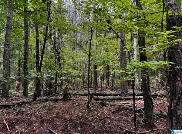 3500 MORGANS RUN PARKWAY, Bessemer, AL 35022