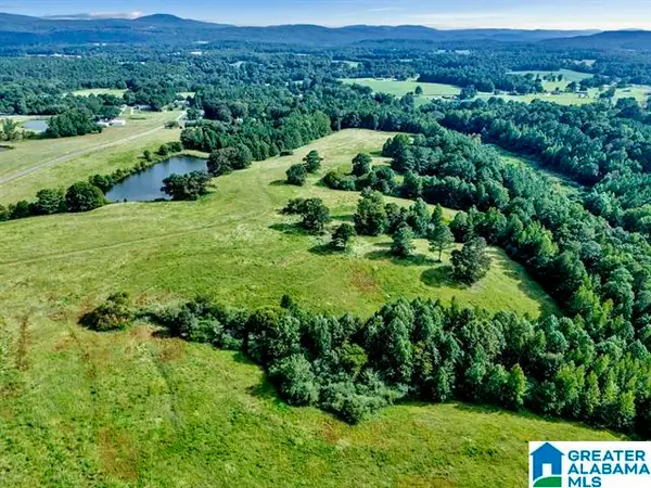 377 COUNTY ROAD 543, Hanceville, AL 35077