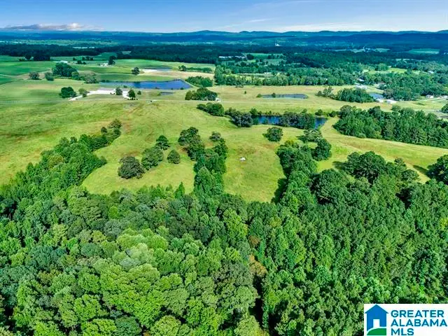 377 COUNTY ROAD 543, Hanceville, AL 35077 - Image #2