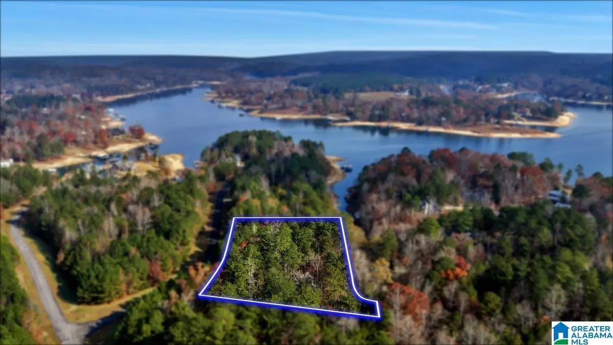 LONG POINT ROAD, Double Springs, AL 35553 - Image #1