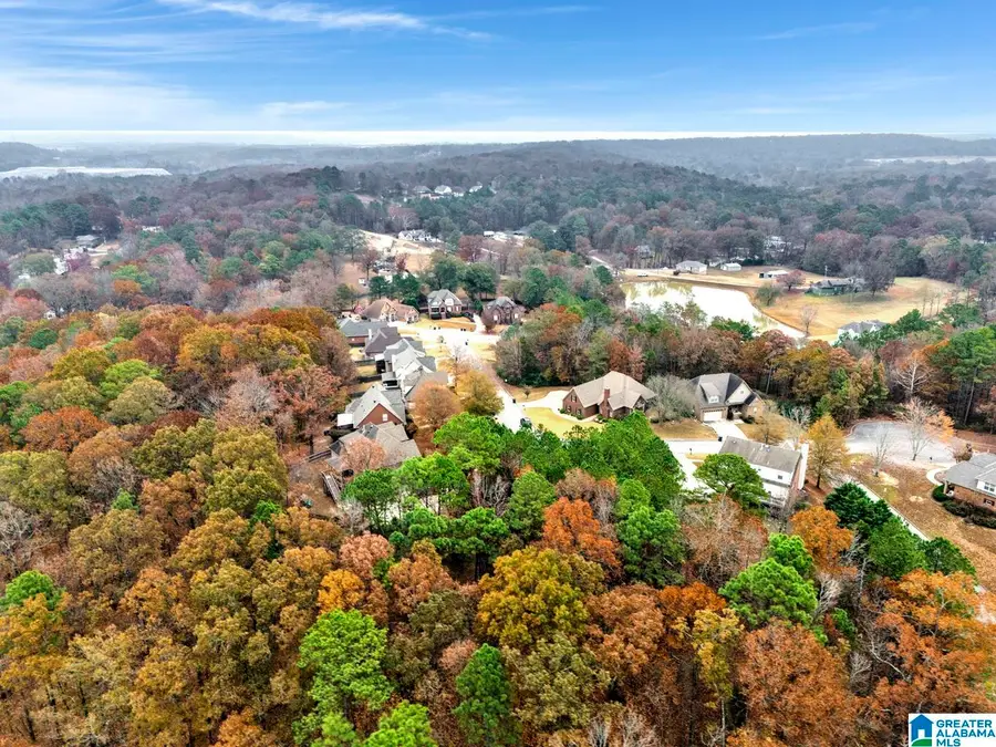 211 MOUNTAIN LAKE TRAIL, Alabaster, AL 35007 - Image #3