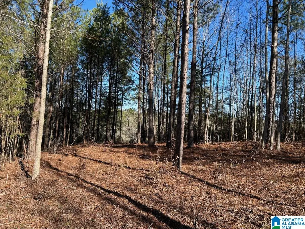 4.15 acres N HAGLER ROAD, Northport, AL 35475 - Image #1