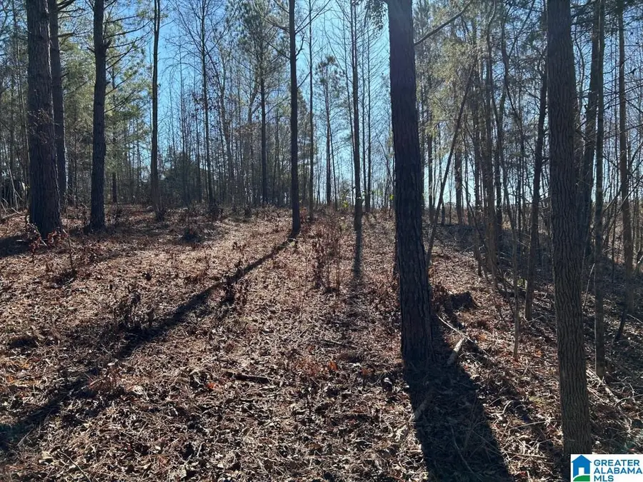 4.15 acres N HAGLER ROAD, Northport, AL 35475 - Image #2
