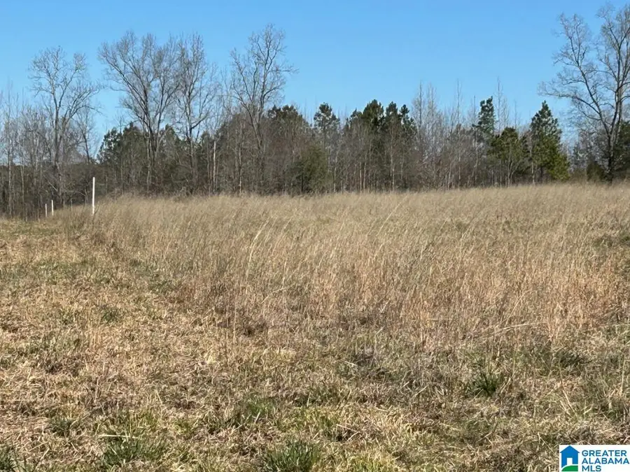 4.15 acres N HAGLER ROAD, Northport, AL 35475 - Image #3