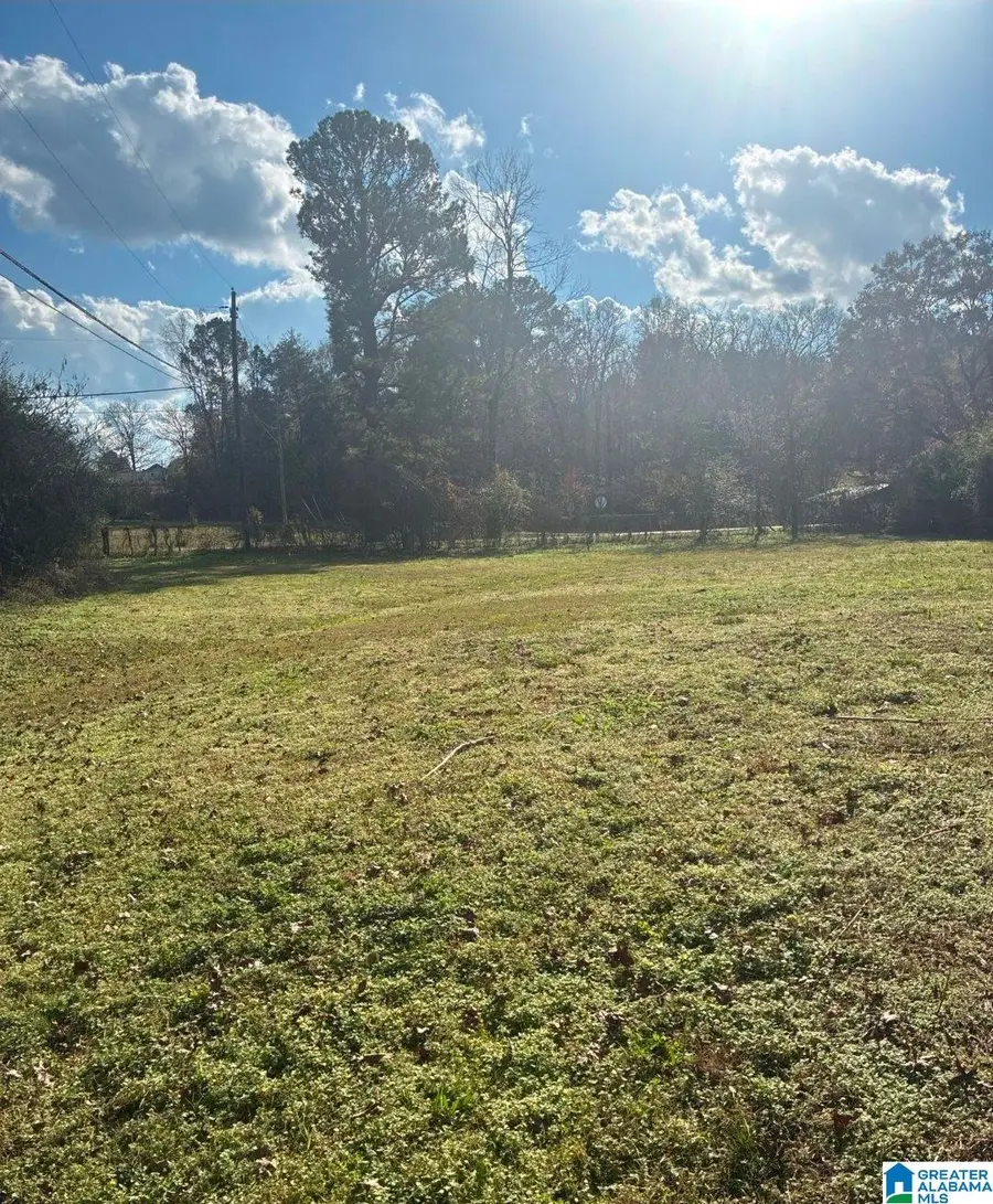 9717 HARVELLA ROAD, Warrior, AL 35180 - Image #3