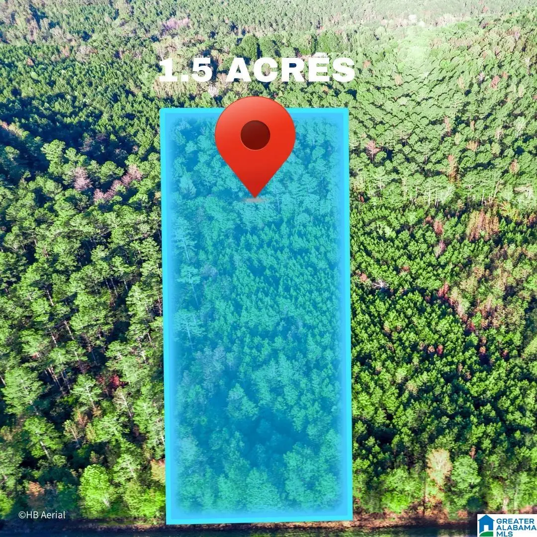 Tract 2B COUNTY ROAD 329, Wedowee, AL 36278 - Image #1