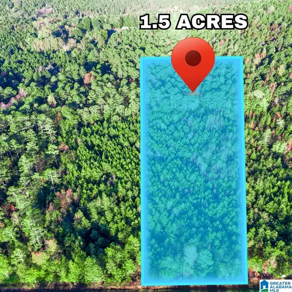 Tract  3A COUNTY ROAD 329, Wedowee, AL 36278