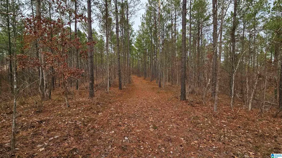 14304 HARGROVE ROAD E, Cottondale, AL 35453 - Image #2