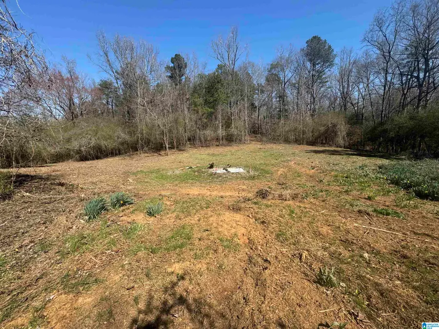 Lot 4 HIGHWAY 47, Columbiana, AL 35051 - Image #3