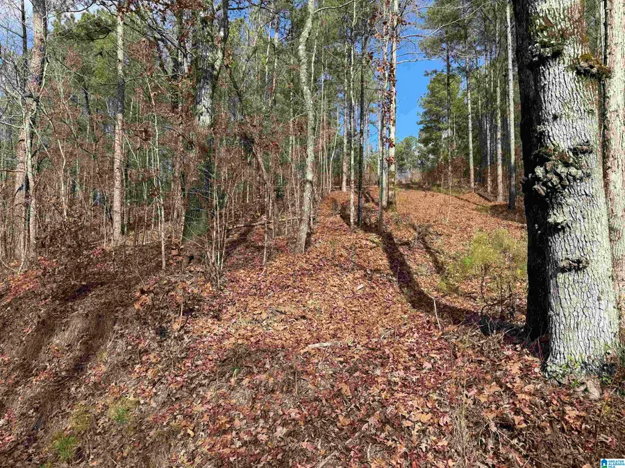 680 SWEET APPLE ROAD, Pell City, AL 35128 - Image #2