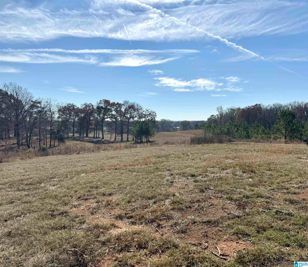 2884 HIGHWAY 47, Columbiana, AL 35051 - Image #1