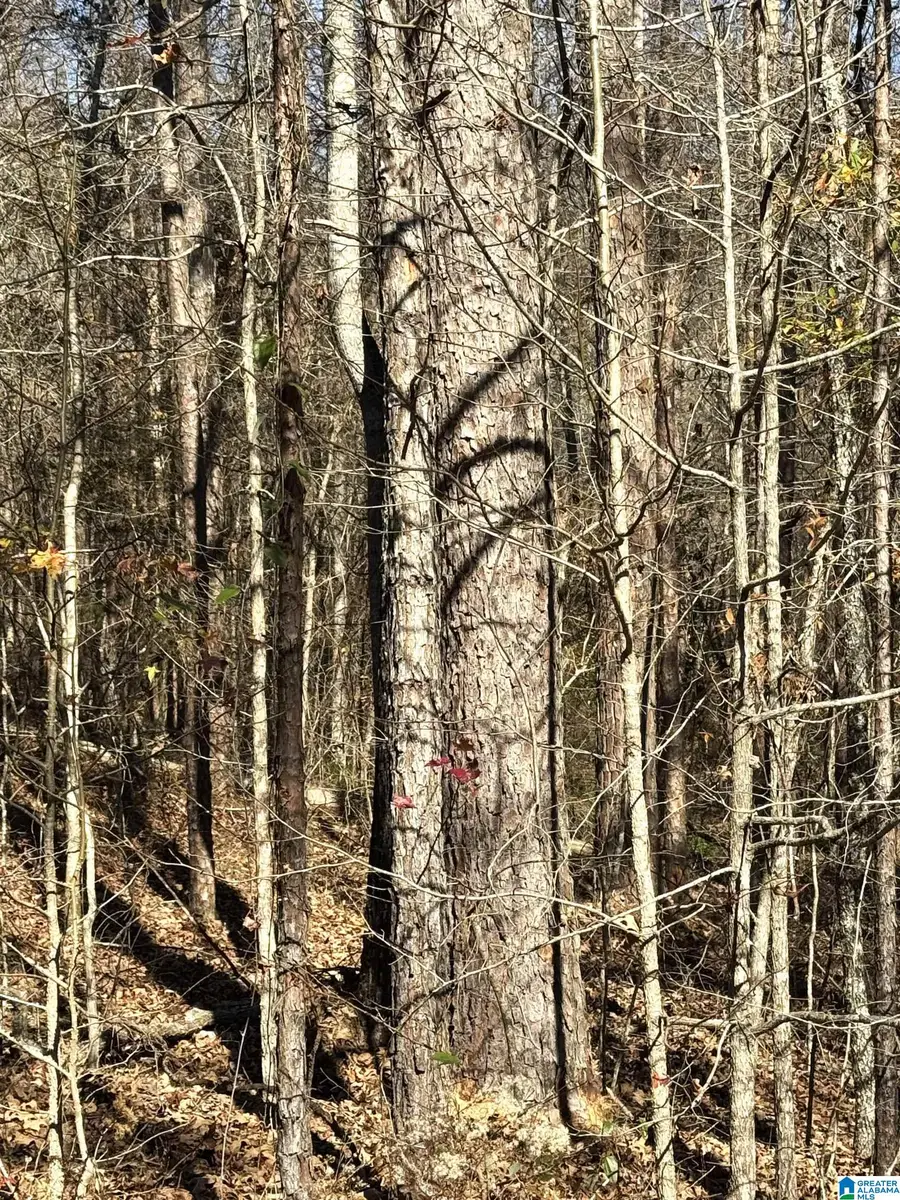 0 ARROWHEAD DRIVE, Delta, AL 36258 - #3