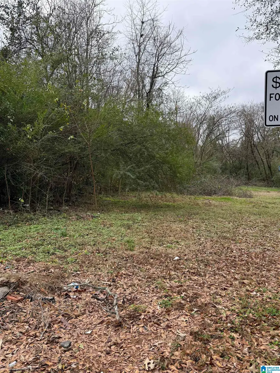 201 NAIL STREET, Midfield, AL 35228 - Image #3