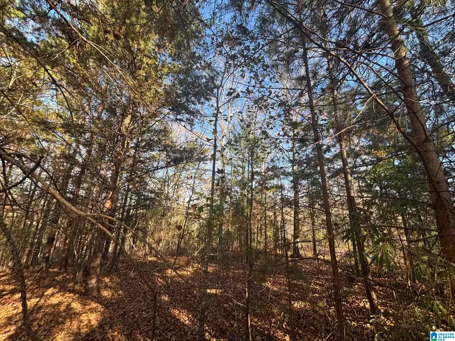 0 SMITH LANE, Talladega, AL 35160 - Image #2