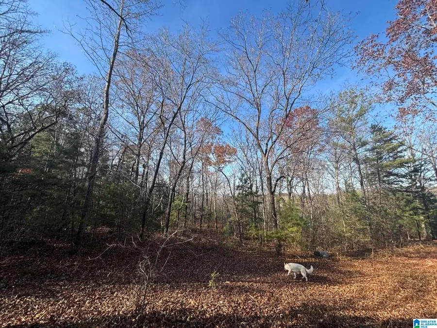 0 SMITH LANE, Talladega, AL 35160 - Image #3