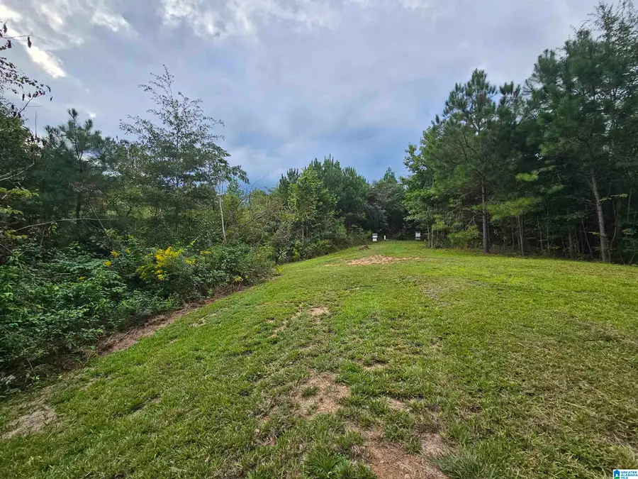 94 COUNTY ROAD 258, Clanton, AL 35046 - Image #3