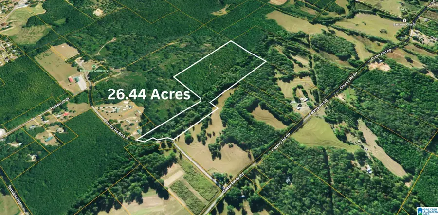 TBD1 286 COUNTY ROAD 864, Clanton, AL 35045 - Image #2