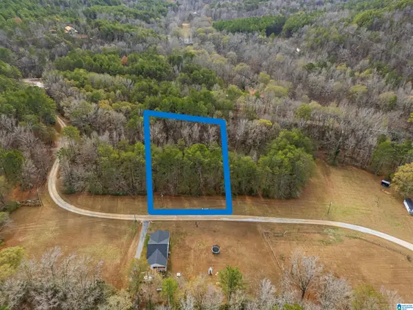 Lot 12 COUNTY ROAD 219, Piedmont, AL 36272