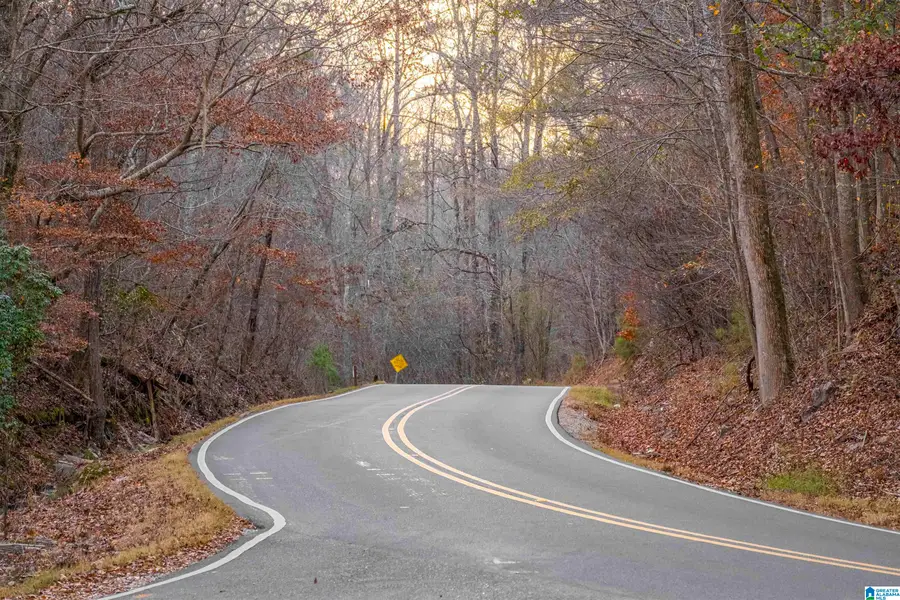 1004 RABBITTOWN ROAD, Piedmont, AL 36272 - Image #3