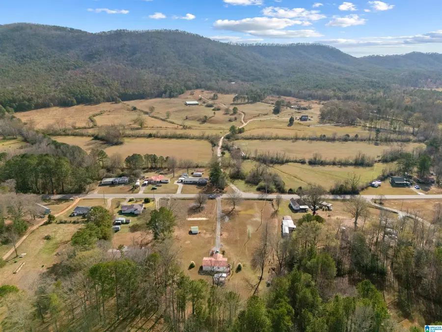 16089 S HIGHWAY 9, Piedmont, AL 36272 - Image #3