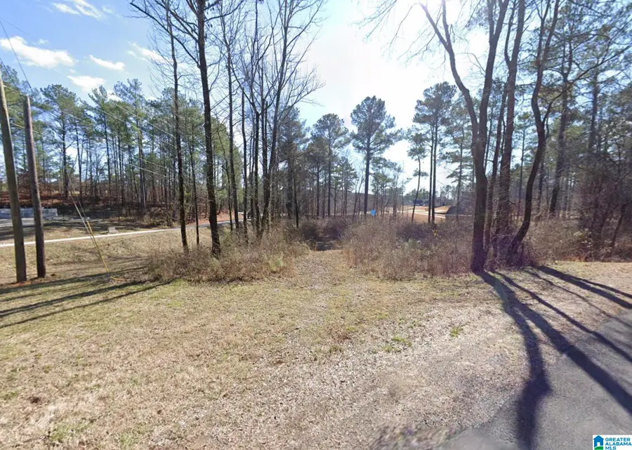 245 ANNA CREEK DRIVE, Helena, AL 35080 - Image #2