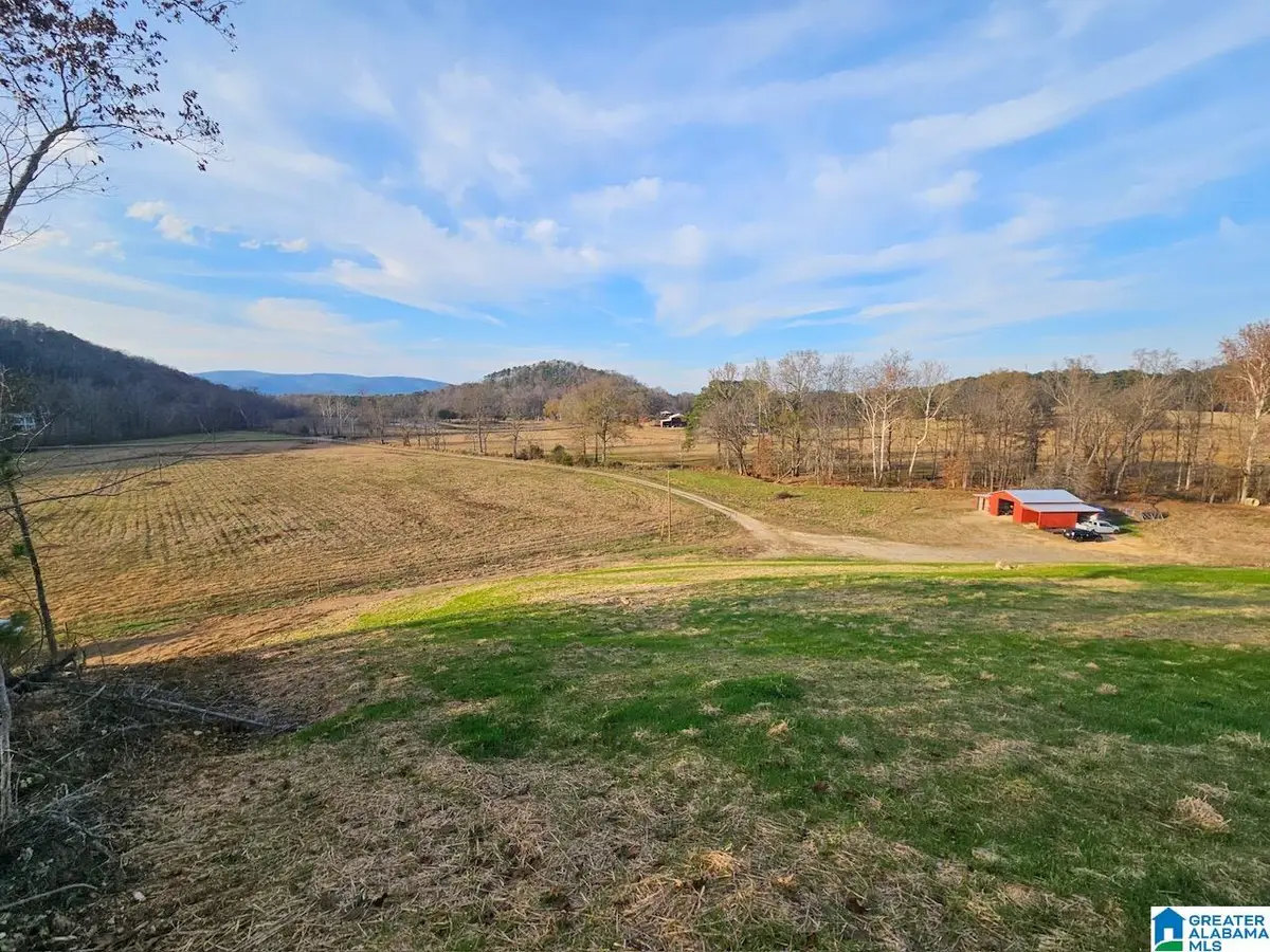 600 EARL ROBERTS ROAD, Anniston, AL 36207 - Image #1