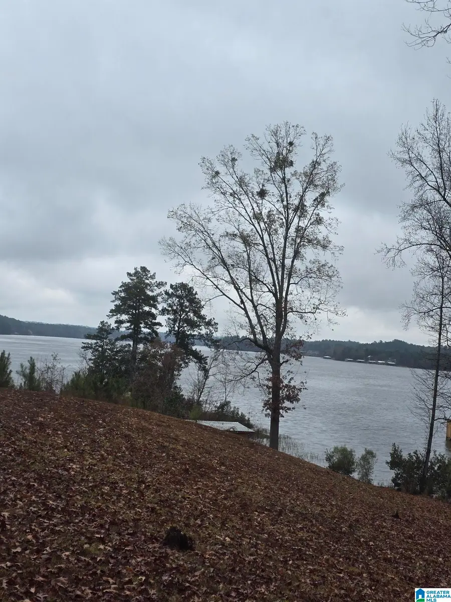 589 COUNTY ROAD 543, Verbena, AL 36091 - Image #2