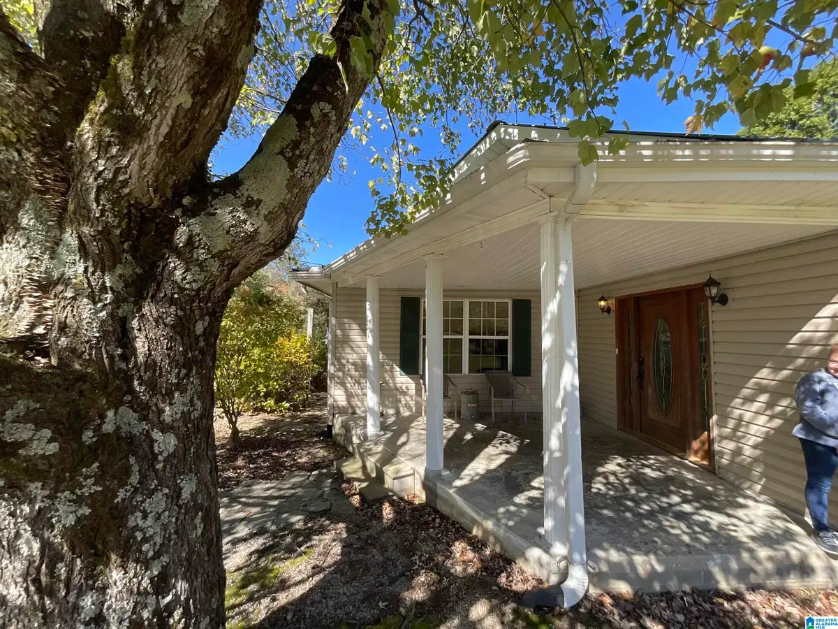 10045 COUNTY ROAD 121, Valley Head, AL 35989 - Image #1