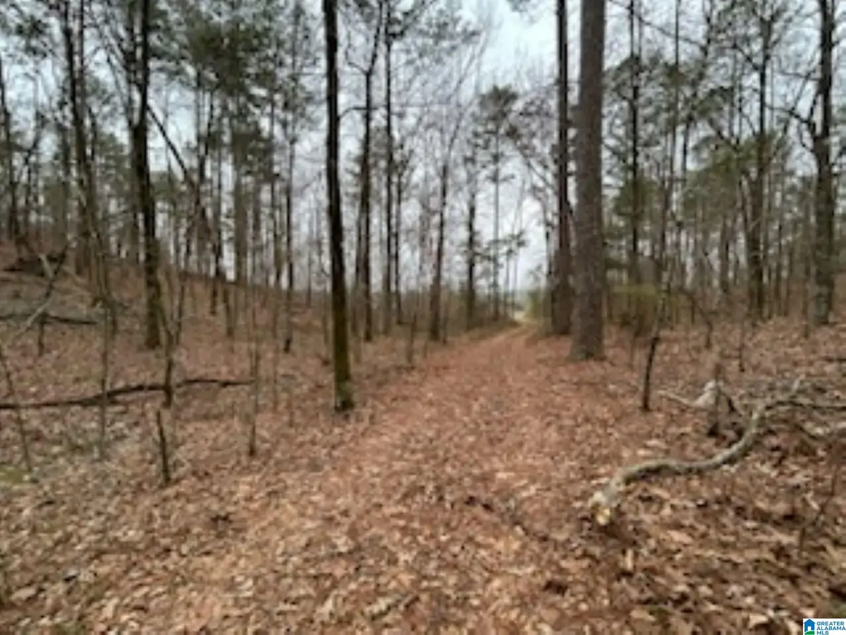 000 HIGHWAY 55, Wilsonville, AL 35186 - Image #1