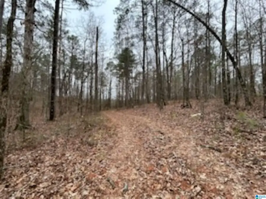 000 HIGHWAY 55, Wilsonville, AL 35186 - Image #2