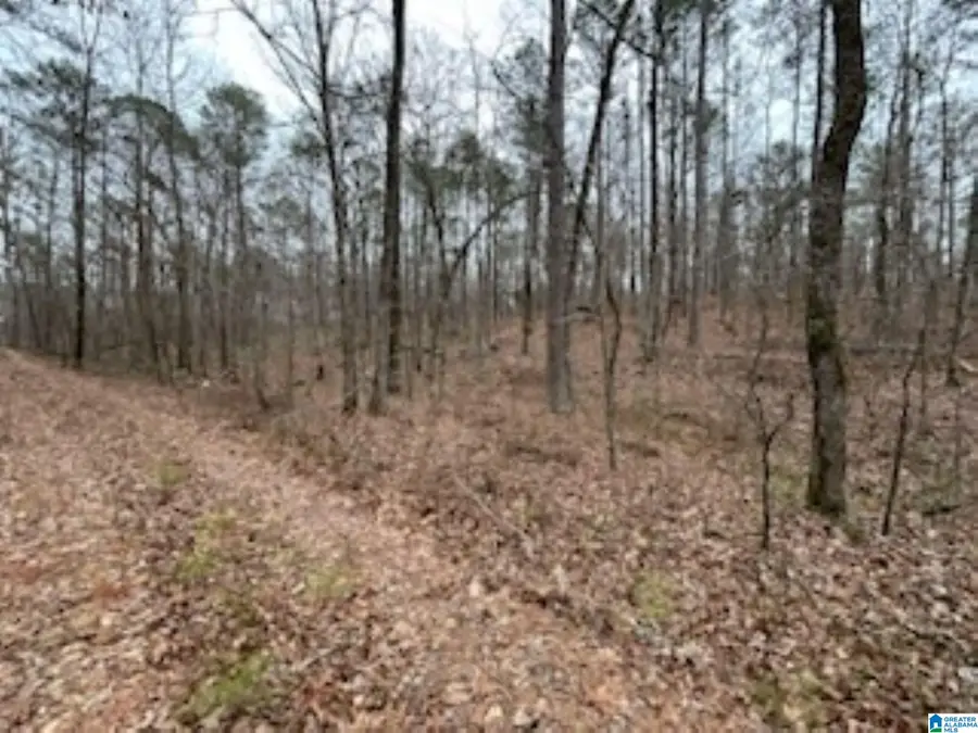 000 HIGHWAY 55, Wilsonville, AL 35186 - Image #3